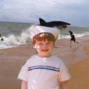 Meet your Posher, Dan